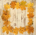 Dry maple leaves on the table form a large frame with the background of an old tree