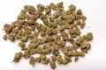 Dry marijuana buds, cannabis dried flowers, medical marijuana, laying on the white table