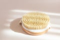 Dry massage brush made of natural materials on a light pastel background