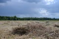 the dry, mowed grass lies in the field under the dark stormy sky Royalty Free Stock Photo