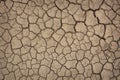 Dry mud cracked ground texture Royalty Free Stock Photo