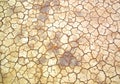 Dry mud cracked pattern on desert ground , natural texture of Earth Royalty Free Stock Photo