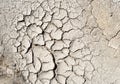 Dry Mud Cracked Riverbed
