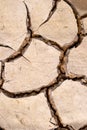 Dry mud cracks texture Royalty Free Stock Photo