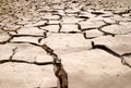 Dry mud cracks texture Royalty Free Stock Photo