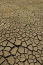 Dry Mud Texture in the Fields Royalty Free Stock Photo