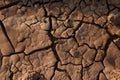 Dry Mud Texture in the Fields Royalty Free Stock Photo