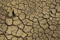 Dry Mud Texture in the Fields Royalty Free Stock Photo