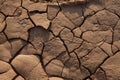 Dry Mud Texture in the Fields Royalty Free Stock Photo