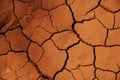 Dry Mud Texture in the Fields Royalty Free Stock Photo
