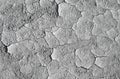 Dry mud texture, raw Royalty Free Stock Photo