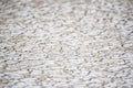 Dry muddy soil surface for background texture Royalty Free Stock Photo