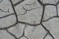 Dry muddy soil surface for background texture Royalty Free Stock Photo