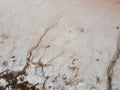 Dry muddy soil surface coverd by salt for background texture Royalty Free Stock Photo