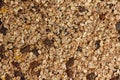 Dry muesli from above Royalty Free Stock Photo