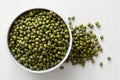 Dry mung beans Royalty Free Stock Photo