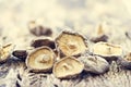 Dry Mushrooms on old wooden background Royalty Free Stock Photo