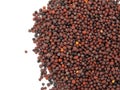 Dry mustard black seeds isolted on the white background Royalty Free Stock Photo