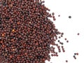 Dry mustard black seeds isolted on the white background Royalty Free Stock Photo