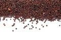 Dry mustard black seeds isolted on the white background Royalty Free Stock Photo