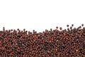 Dry mustard black seeds isolted on the white background Royalty Free Stock Photo