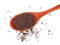 Dry mustard black seeds in wooden spoon isolted on the white background Royalty Free Stock Photo