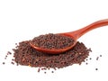 Dry mustard black seeds in wooden spoon isolted on the white background Royalty Free Stock Photo