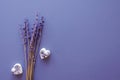 Dry natural lavender flowers background