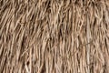 Dry Nypa palm Leaf texture background Royalty Free Stock Photo