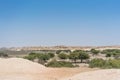 Dry Oasis in the Namibe Desert. Angola. Royalty Free Stock Photo