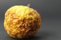 a dry old apple wrinkled on a black background. Ugly foods. Bad spoiled fruit food