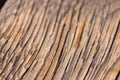dry old weathered wood grain Royalty Free Stock Photo