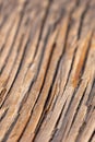 dry old weathered wood grain Royalty Free Stock Photo