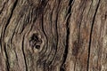 Dry old wooden, background. natural wood. Wood texture Royalty Free Stock Photo