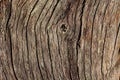 Dry old wooden brown background. natural wood. Strips of cracks. Wood texture Royalty Free Stock Photo