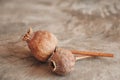 Dry opium poppy on wooden background. Top view. Copy, empty space for text