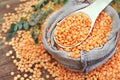 Dry orange lentil in spoon, legumes for healthy diet