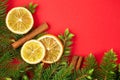 Dry orange slices with christmas tree branches and cinnamon sticks Royalty Free Stock Photo