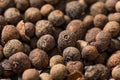 Dry Organic Allspice Berries Royalty Free Stock Photo