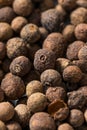 Dry Organic Allspice Berries Royalty Free Stock Photo