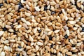 Dry organic brown sesame seed background