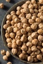 Dry Organic Chickpea Garbanzo Beans