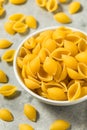 Dry Organic Conchiglie Pasta Shells Royalty Free Stock Photo