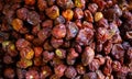 Dry organic hot chili background..Dried red hot scotch bonnet, food ingredient Royalty Free Stock Photo