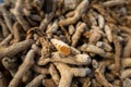 Dry organic Indian turmeric root (Curcuma longa),