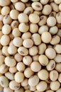 Dry organic soybean seed background, for clean food ingredient Royalty Free Stock Photo