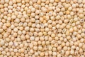 Dry organic soybean seed background Royalty Free Stock Photo