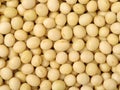 Dry Organic Soybeans