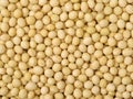 Dry Organic Soybeans