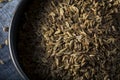 Dry Organic Tarragon Seed Spice